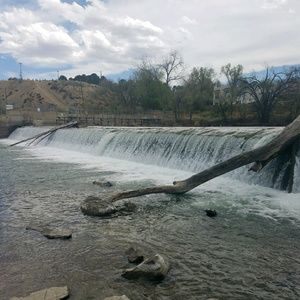 Meet your Posher, Delia